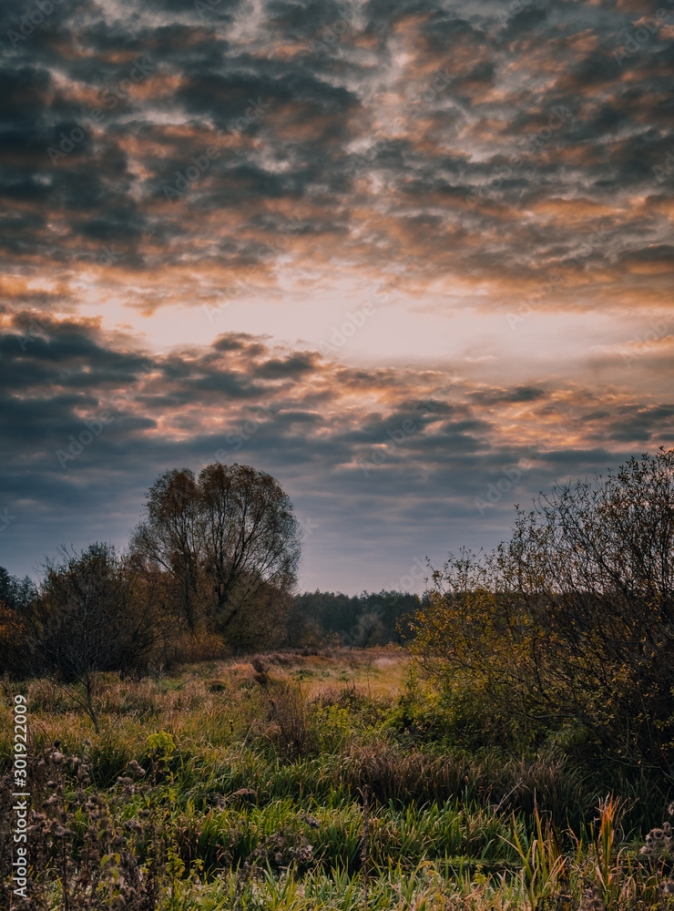 Fototapeta premium Sunrise on river