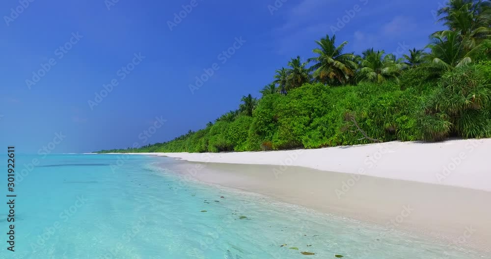 Revealing shot of a breathtaking tropical island with tall palm trees, green vegetation and perfectly calm turquoise waters on the shore in the Barbados, Caribbean 4K Revealing shot of a breathtaking tropical island with tall palm trees, green vegetation and perfectly calm turquoise waters on the shore in the Barbados, Caribbean 4K