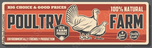 Turkey and quail, poultry farm. Animal farming