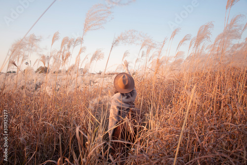 Canvas Print Woman is enjoy traveling at Haneul Park in South Korea during Autumn