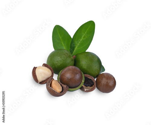 Shelled macadamia nuts with leaves isolated on white background.