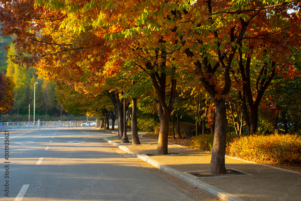 Beautiful scene i the Park during Autumn in Seoul, South Korea.