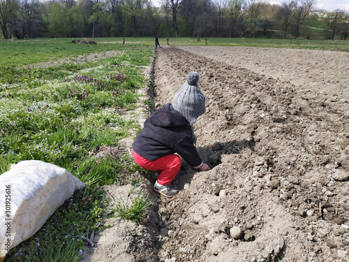 In the village on the field, a girl plants potatoes with her mother. 2019 photo