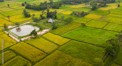 Obraz na plátně A ricefield and landscape near the city of Takeo in Cambodia
