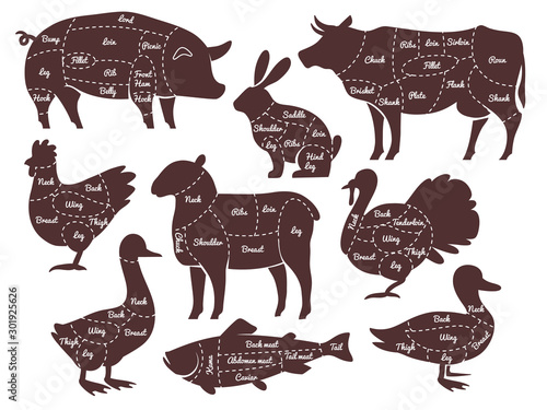 Butcher diagrams. Cutting lines different parts domestic farm animals silhouettes. Outline meat schemes, market menu vector set