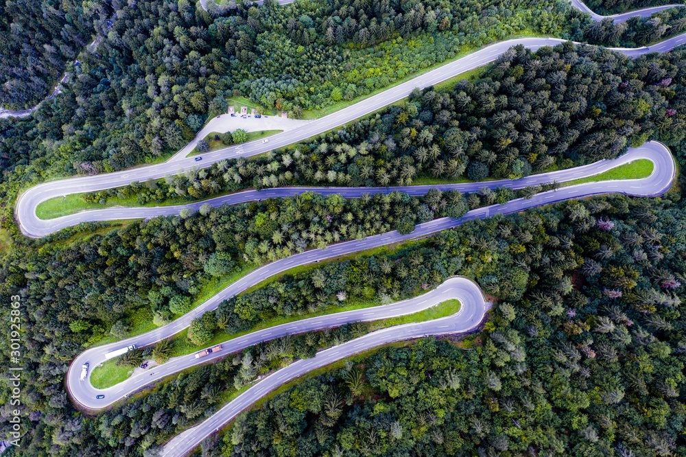 Alpine road in forest from above Alpine road in forest from above