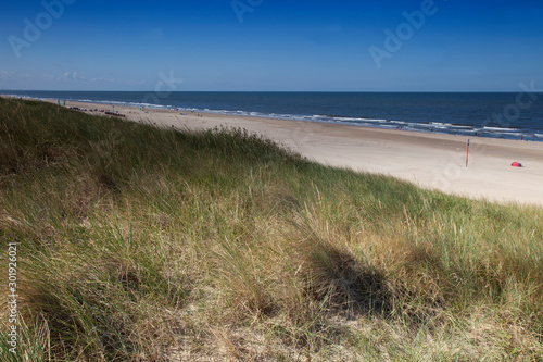 Dune landscape on the beach of Egmond,North sea , Holland, Netherlands