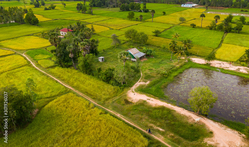 Obraz na plátně A ricefield and landscape near the city of Takeo in Cambodia