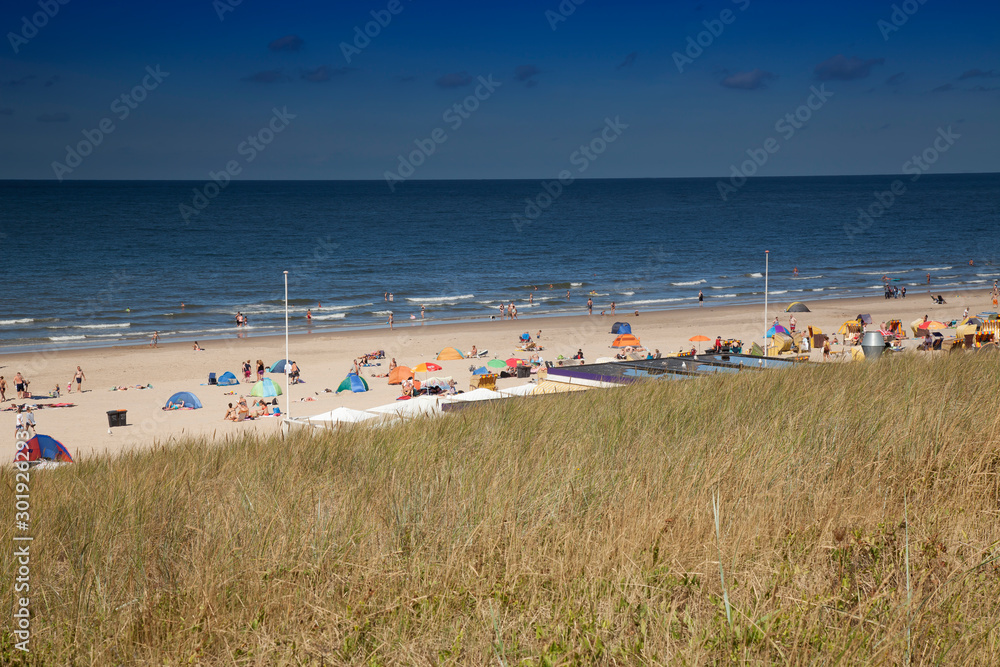 Dune landscape on the beach of Egmond,North sea , Holland, Netherlands Dune landscape on the beach of Egmond,North sea , Holland, Netherlands