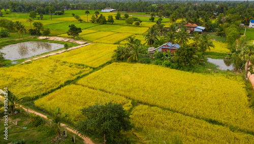 A ricefield and landscape near the city of Takeo in Cambodia