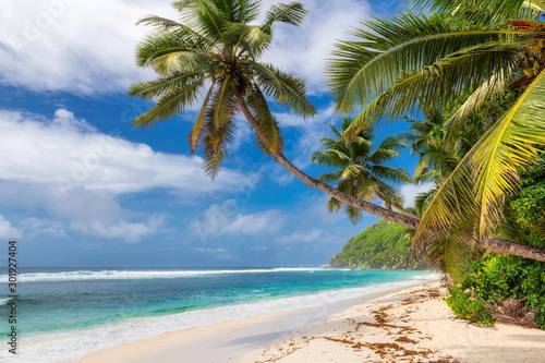 Fototapeta Naklejka Na Ścianę i Meble -  Beautiful tropical beach with palms and turquoise sea in Jamaica island.	