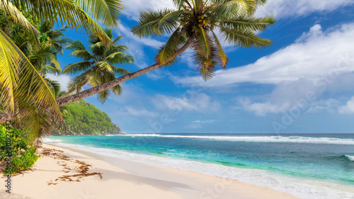 Fototapeta Naklejka Na Ścianę i Meble -  Beautiful beach with palms and turquoise sea in Jamaica island.	