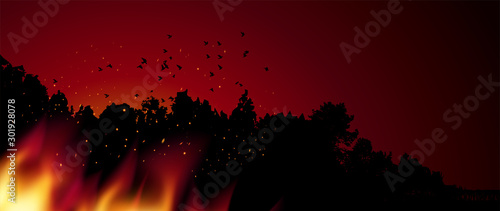 Burning forest trees in fire flames. Concept, vector illustration.