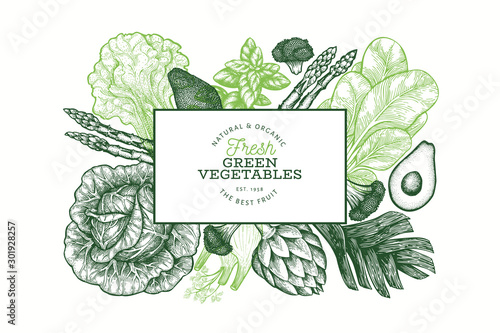 Green vegetables design template. Hand drawn vector food illustration. Engraved style vegetable banner. Retro botanical banner.