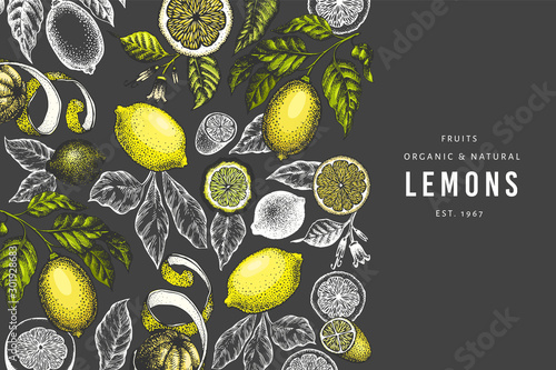 Lemon tree design template. Hand drawn vector fruit illustration on dark background. Engraved style banner. Vintage citrus background.