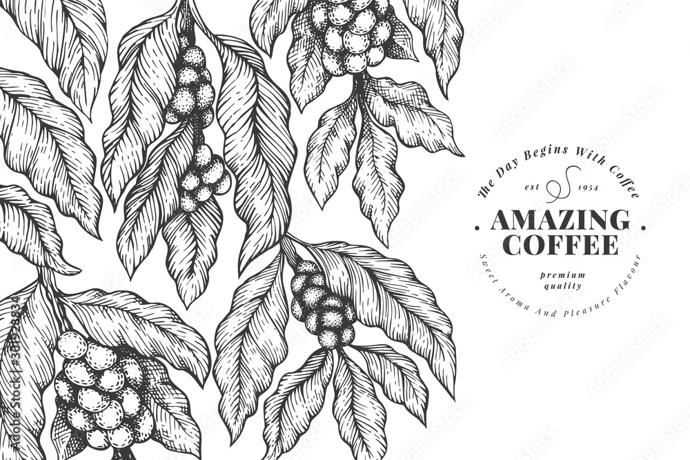 Coffee vector design template. Vintage coffee background. Hand drawn