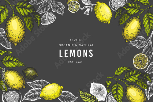 Lemon tree design template. Hand drawn vector fruit illustration on dark background. Engraved style banner. Vintage citrus background.