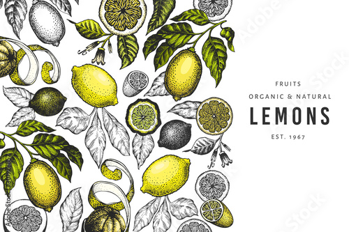 Lemon tree design template. Hand drawn vector fruit illustration. Engraved style banner. Vintage citrus background.