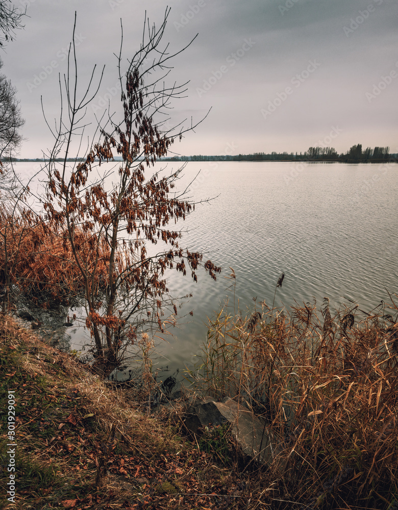 Obraz premium Fading nature in autumn plants