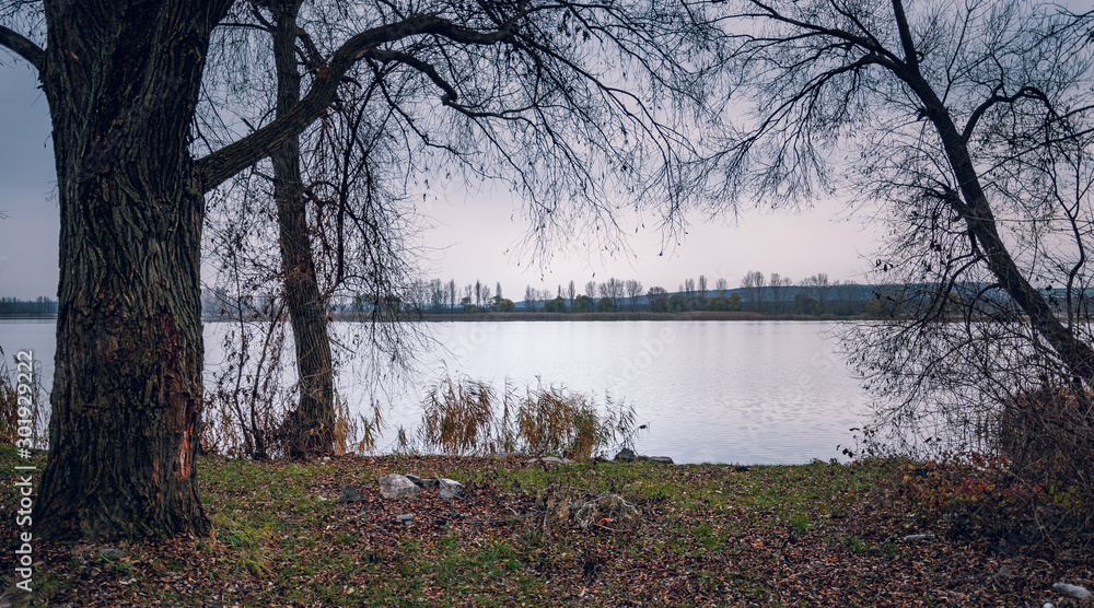 Fototapeta premium Fading nature in autumn plants