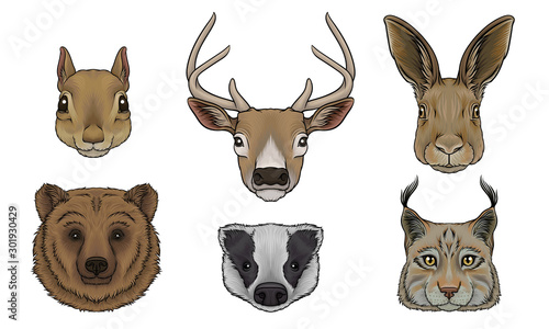 Wild Animals Muzzles Vector Set. Highly Detailed Neb Collection