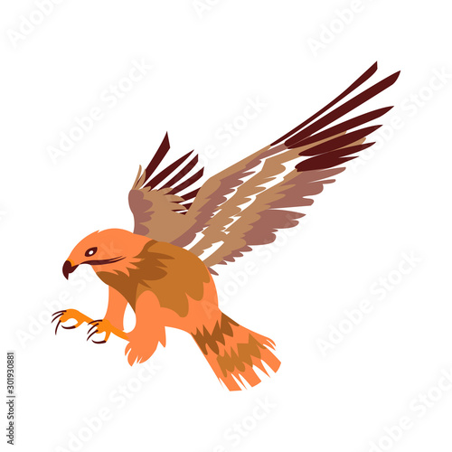 A Beautiful And Majestic Hunting Bird In Flight