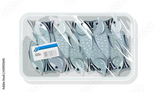 Fish freeze. Raw, marinated or smoked walleye pollock, herring, crucian carp, capelin are on plastic tray under transparent kitchen food wrap, clingfilm with label. Vector isolated on white.