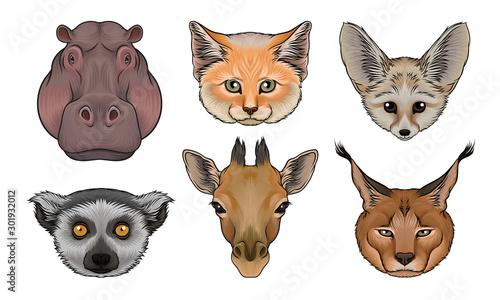 Wild Animals Muzzles Vector Set. Highly Detailed Neb Collection