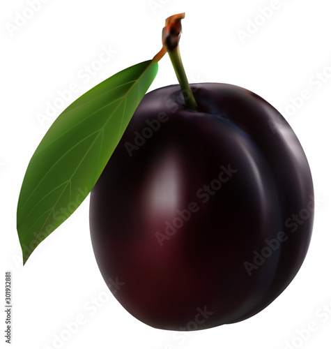 Delicious purple plum on white background