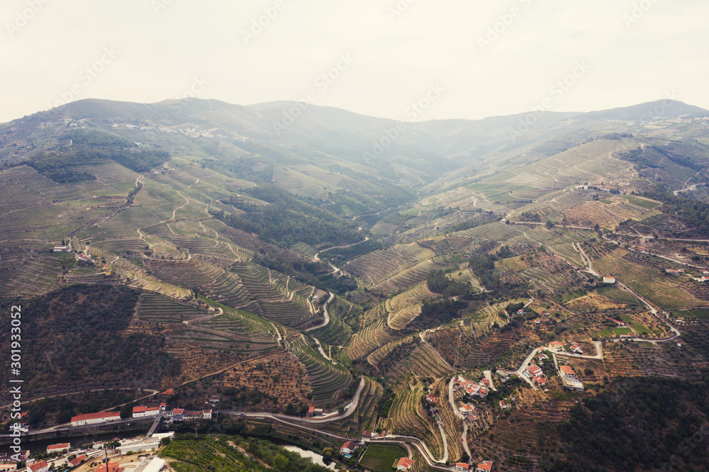 Landscape of Douro Valley, Portugal. Port Wine  production place, aerial view