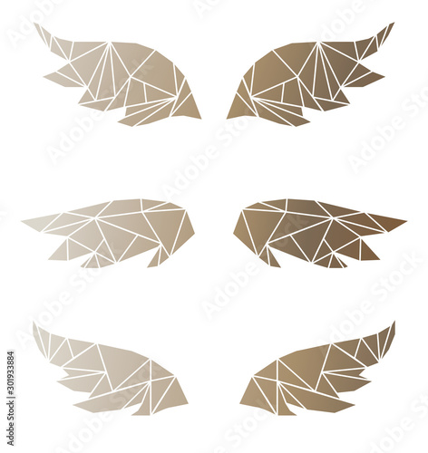 Set with abstract geometry polygonal wings, low poly vector illustration, gold wings on white background
