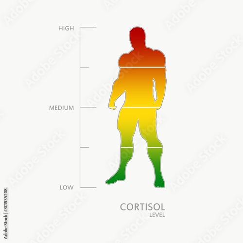 Hormone cortisol level measuring scale. Health care concept illustration. Muscular man silhouette. From red to green scale.