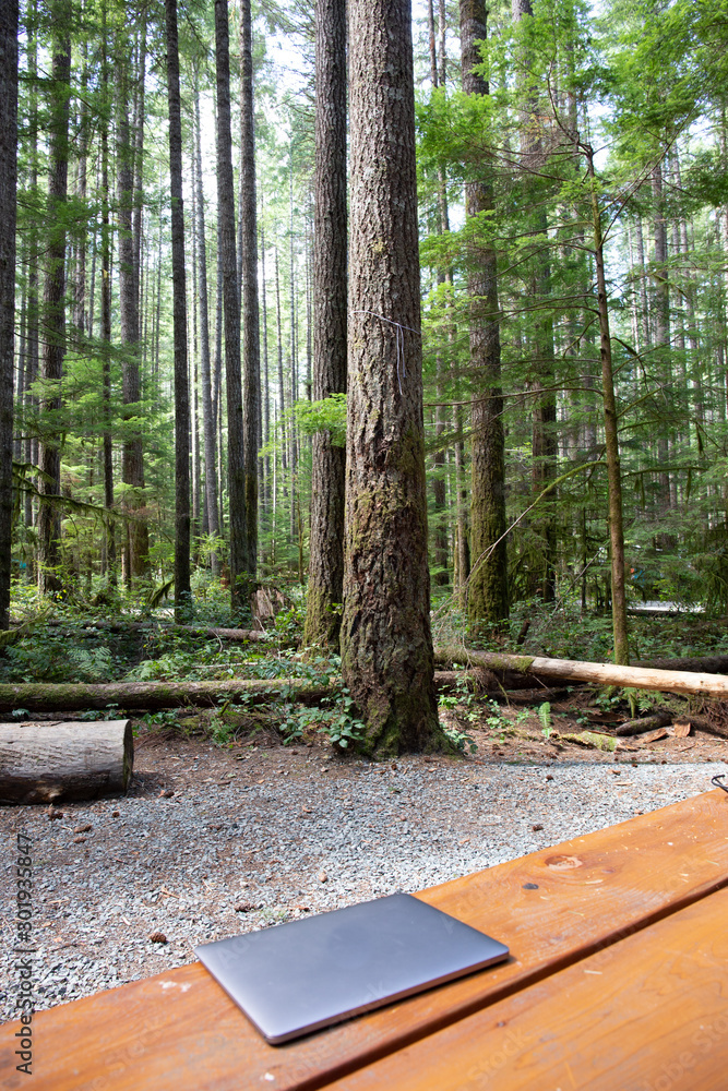 Nature meets technology for the workaholics; a laptop and a mouse on a picnic table in a campground in Vancouver Island, in the middle of super tall tress like pines or douglas firs. Nature meets technology for the workaholics; a laptop and a mouse on a picnic table in a campground in Vancouver Island, in the middle of super tall tress like pines or douglas firs.