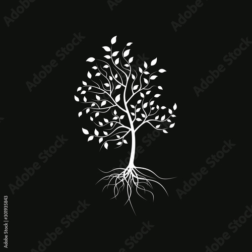 Silhouette of a lonely tree on a black background. Tree silhouette with foliage and roots. 