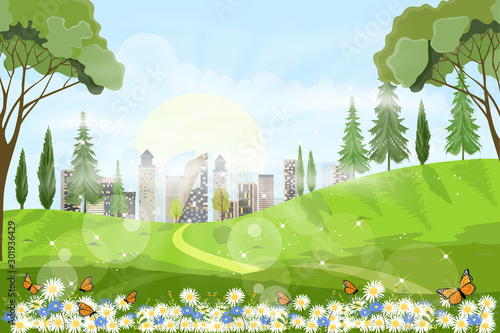 Panorama view of a beautiful summer city park,Vector cartoon Summer landscape with butterfly flying over daisy field, Nature scene with town and hill, fresh spring  scenery 