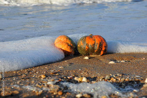 two pumpkins on the beach