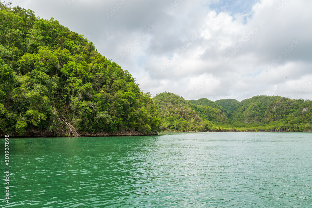 Los Haitises National Park nicknamed the Caribbean's Halong Bay.Mangroves, caves, a rich tropical forest, The coast is dotted with small islets.Samana peninsula, Dominican Republic. Los Haitises National Park nicknamed the Caribbean's Halong Bay.Mangroves, caves, a rich tropical forest, The coast is dotted with small islets.Samana peninsula, Dominican Republic.