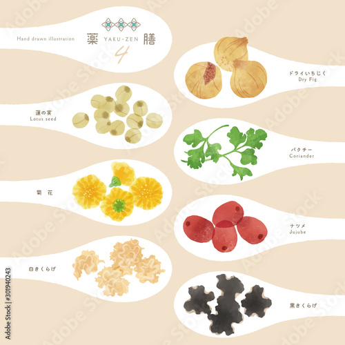 薬膳 / 漢方 / ほっこり食材イラスト-4