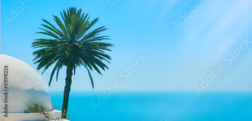 Fototapeta Naklejka Na Ścianę i Meble -  Ocean, palm and sky, copy space background. Arabian seascape in Sidi Bou Said, Tunisia