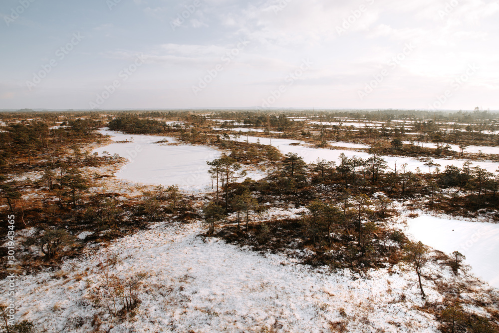 Aerial view of winter landscape with pine tree forest and frozen lakes. Aerial view of winter landscape with pine tree forest and frozen lakes.