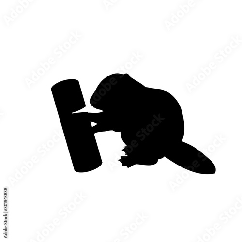 Silhouette of little cub baby beaver gnawing log