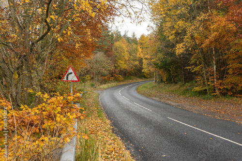 Autumnal road