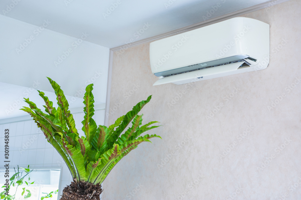 エアコンと観葉植物 Stock 写真 Adobe Stock