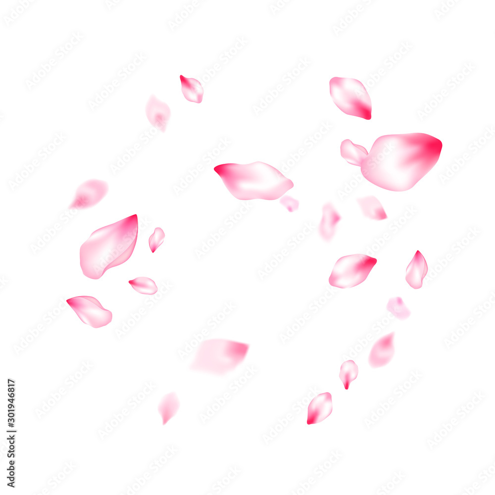 Pink sakura petals confetti flying and falling