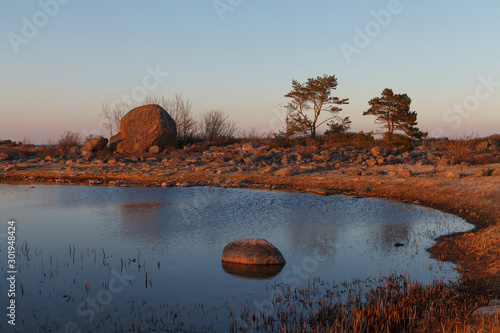 Rocky sea shore. Wilderness. Beautiful Purekkari peninsula, part of Lahemaa national park. Estonia. photo