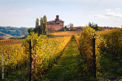 Langhe vineyard in autumn with beautiful orange and yellow colors. Viticulture of Dolcetto, Nebbiolo, Barbaresco and Barbera red wine. Tourism in Europe, travel destination. Piedmont, Italy landmark.
