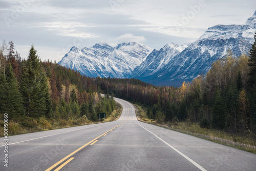 Scenic road trip with rocky mountain in autumn forest at Icefields Parkway