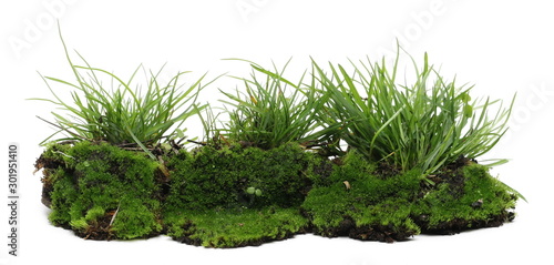 Green moss on soil, dirt pile with grass isolated on white background