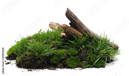 Fotografie Green moss on soil, dirt pile with tree branches and grass isolated on white bac