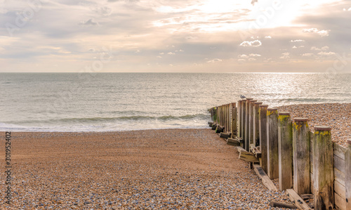 Dawn at the beach.